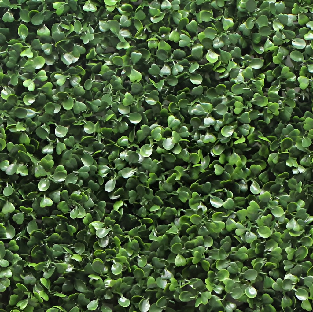 Jade Leaf Artificial Boxwood Hedge Wall Panel – Indoor & Outdoor Green Wall System