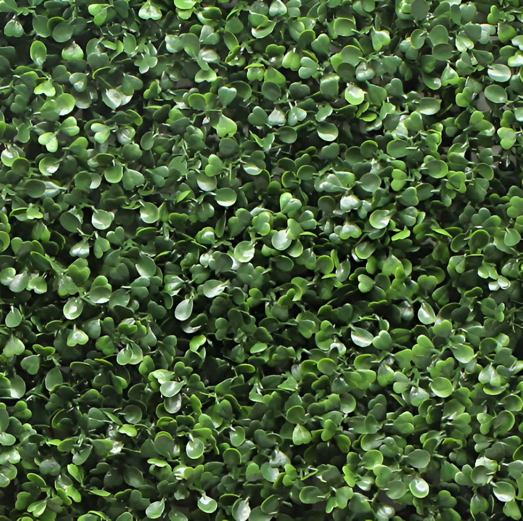 Jade Leaf Artificial Boxwood Hedge Wall Panel – Indoor & Outdoor Green Wall System