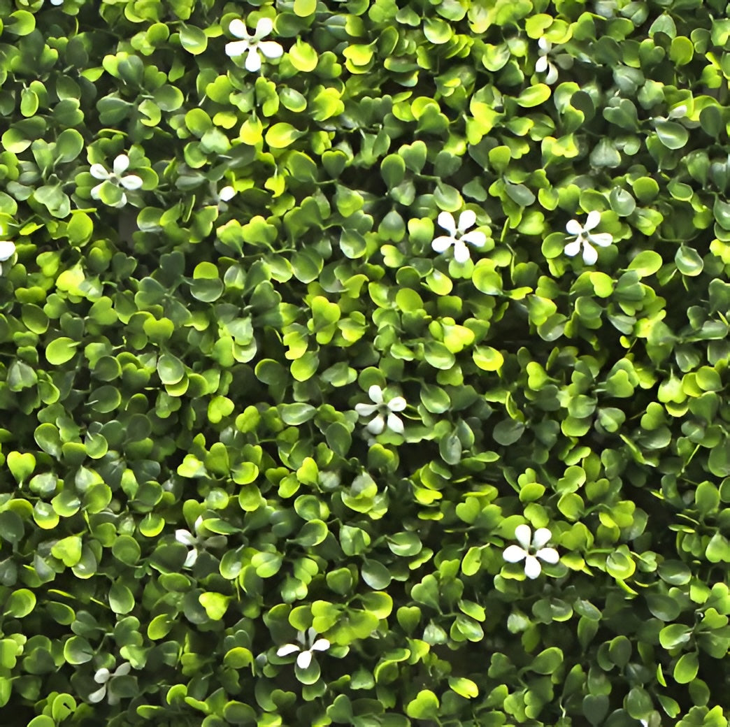Jasmine Boxwood Artificial Hedge Wall Panel – Premium Green Wall System